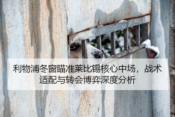 利物浦冬窗瞄准莱比锡核心中场，战术适配与转会博弈深度分析