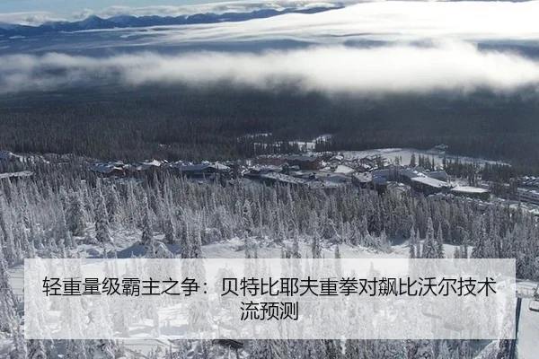 轻重量级霸主之争：贝特比耶夫重拳对飙比沃尔技术流预测